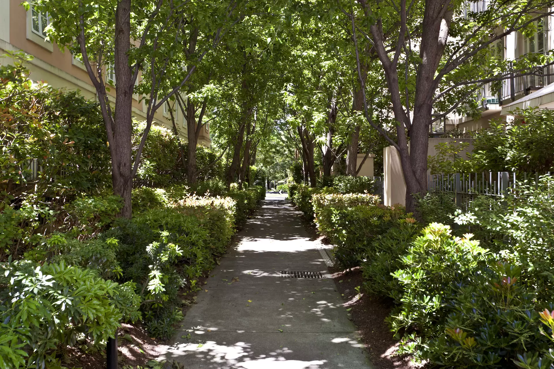 63/1 Wellington Crescent, East Melbourne Leased by Harcourts Melbourne City - image 1