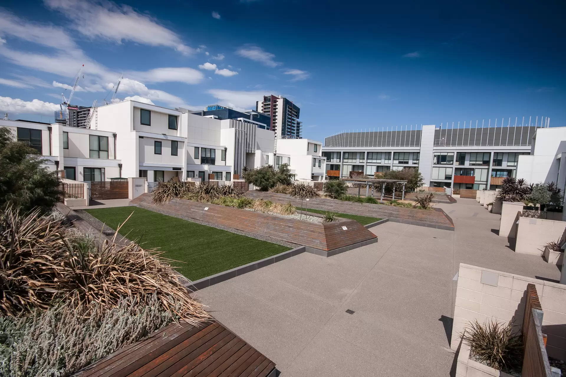 230/117 Studio Lane, Docklands Leased by Harcourts Melbourne City - image 1