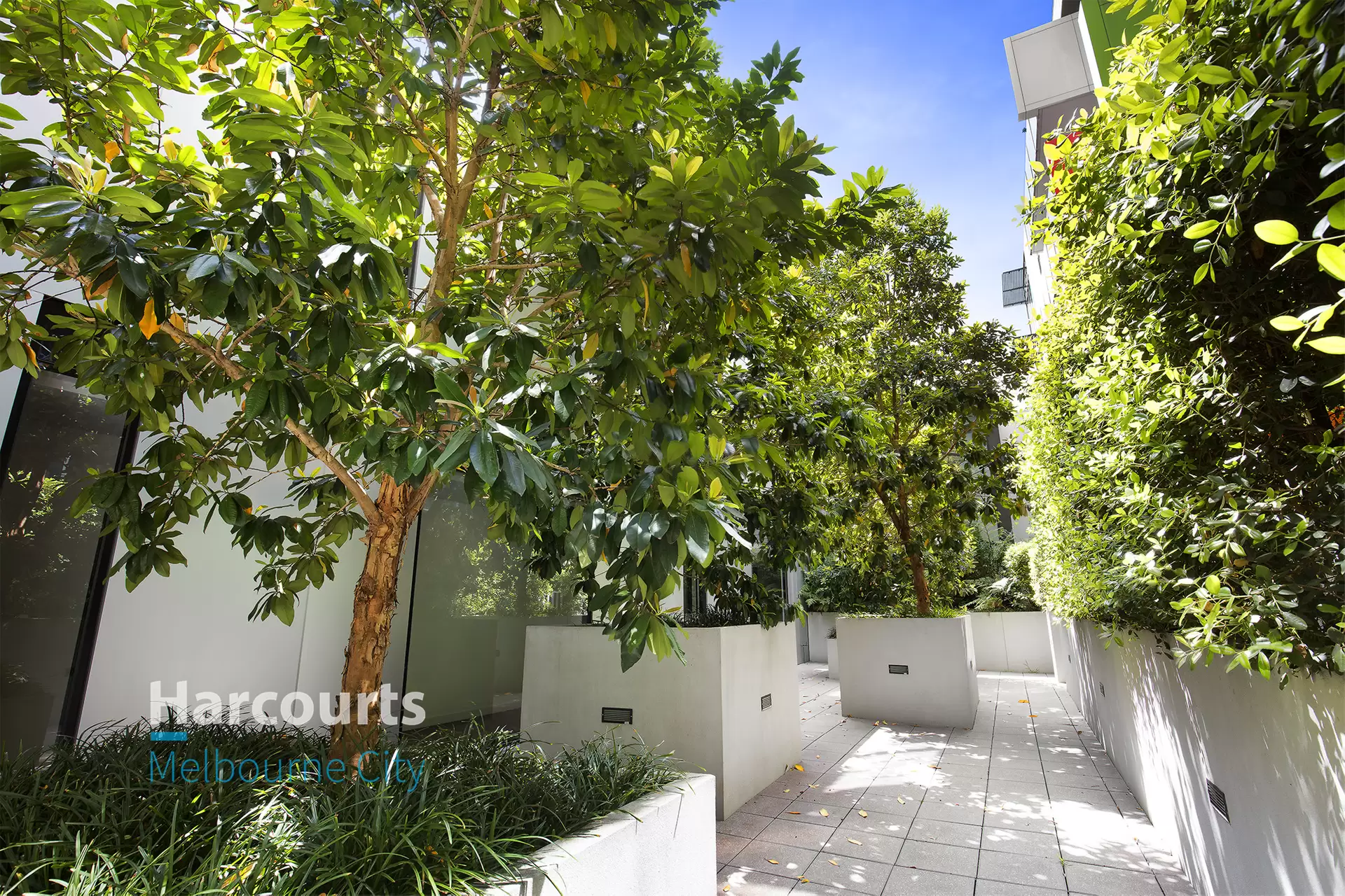 201/81 Riversdale Road, Hawthorn Leased by Harcourts Melbourne City - image 1