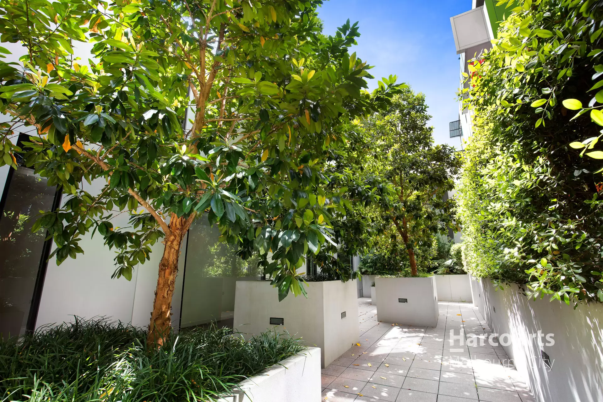201/81 Riversdale Road, Hawthorn Leased by Harcourts Melbourne City - image 1